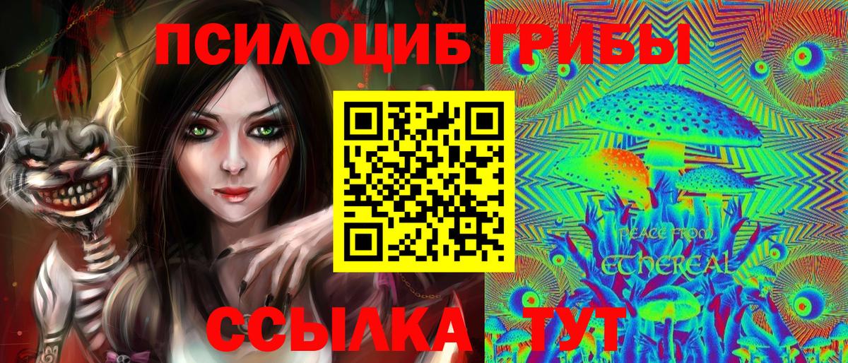 Псилоцибиновые грибы Psilocybe Пугачёв