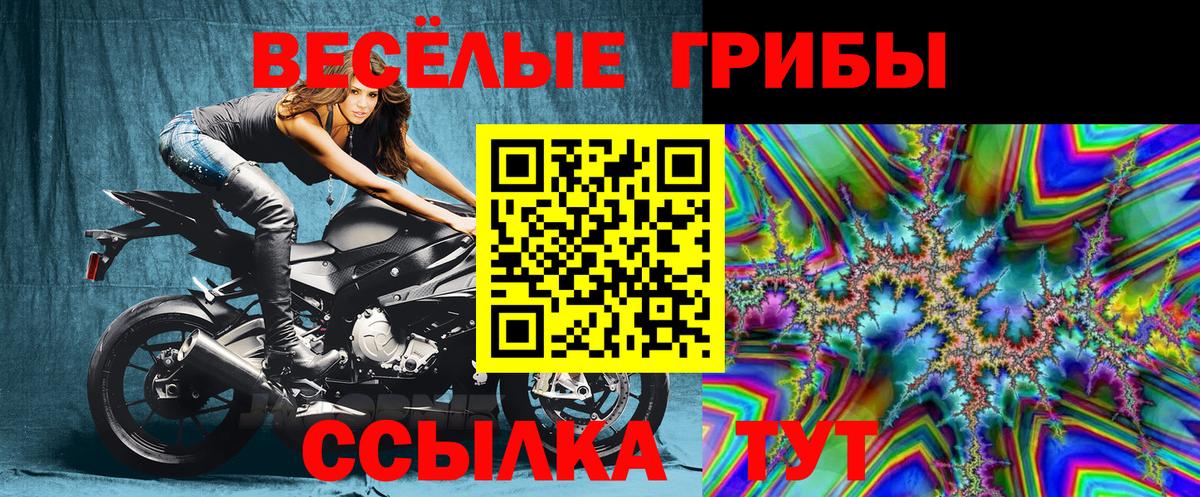 Псилоцибиновые грибы Psilocybe  Вход с VPN  Псилоцибиновые грибы мицелий  Пугачёв 